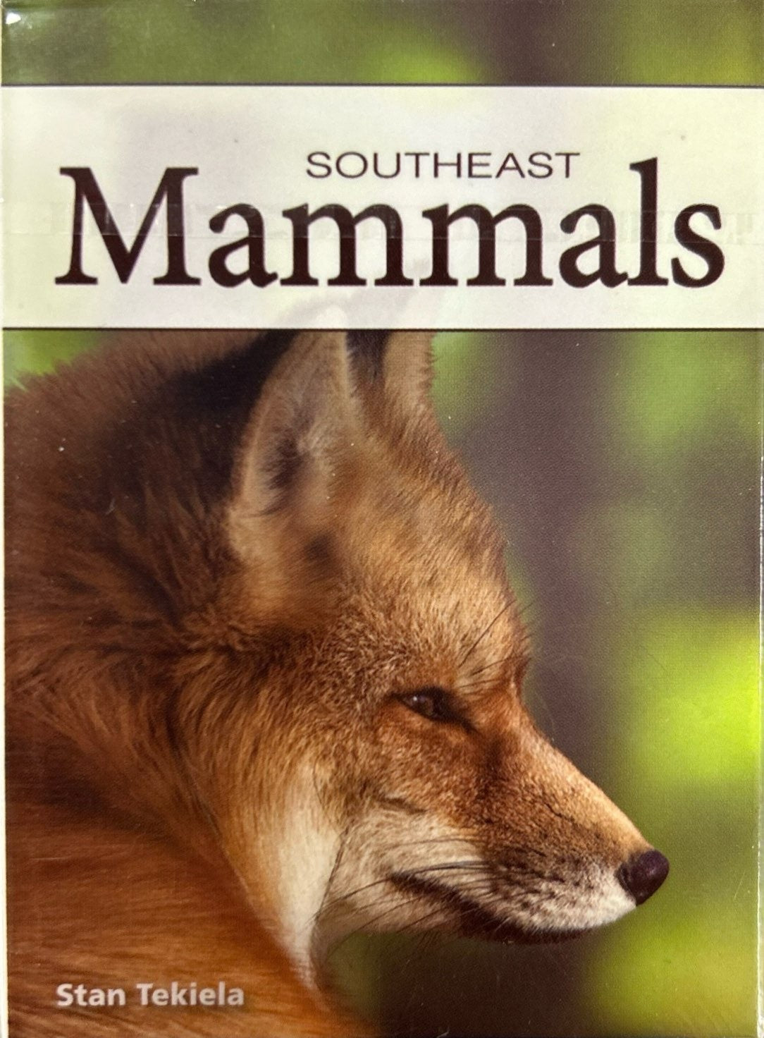 Mammals of the Southeast