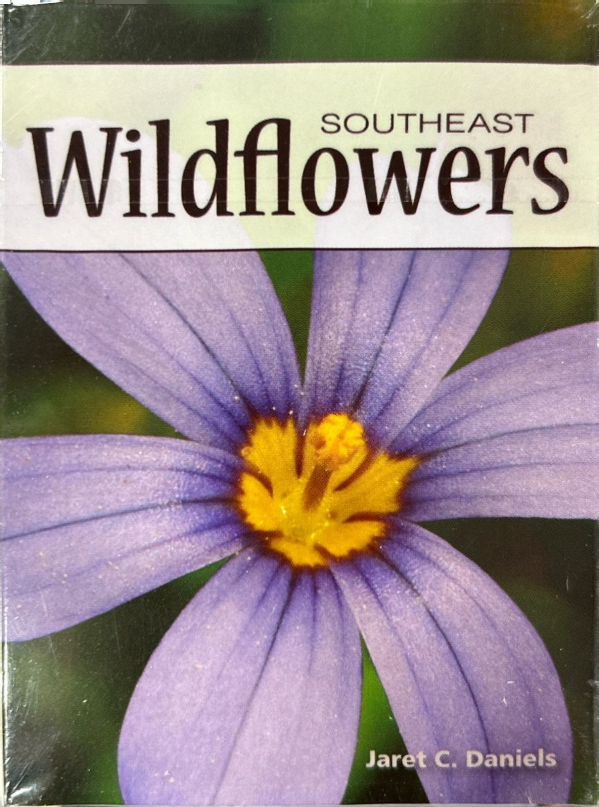 Wildflowers of the Southeast