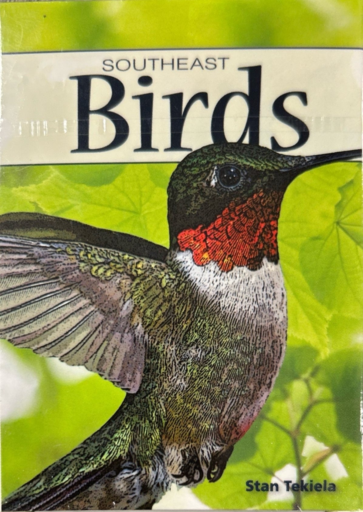 Birds of the Southeast
